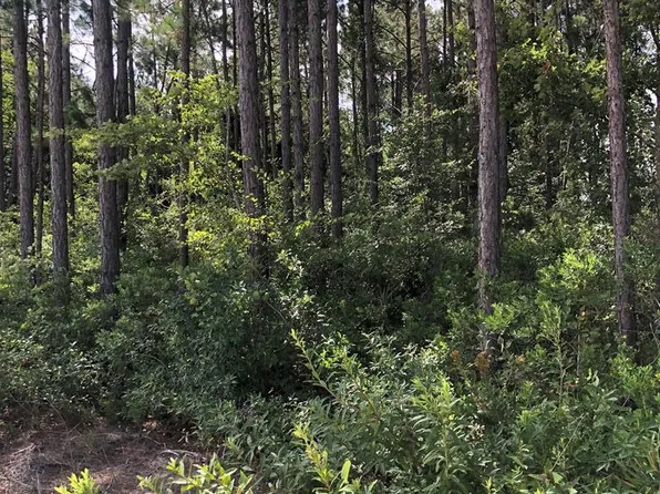 815 Earlie Gaskins Rd, Lenox, GA 31637