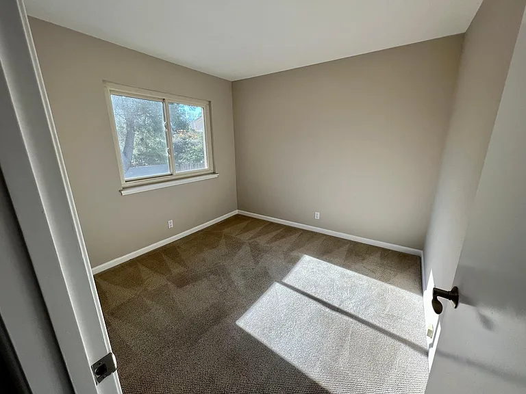 248 Pine Wood Ln — Photo 15