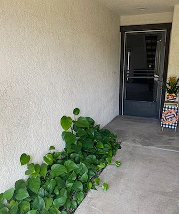 3rd image of 1146 Strawberry Ln