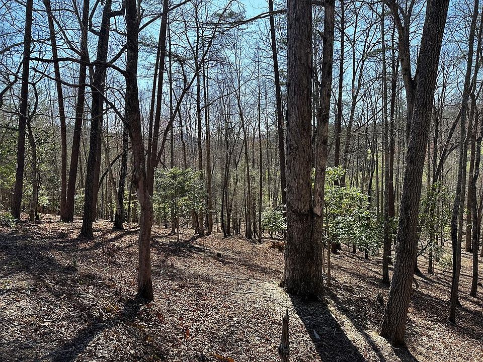1st image of LOT 40 Asheland Cove Dr