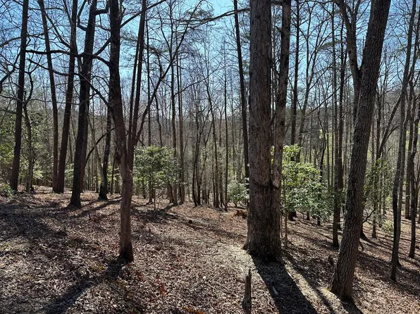 LOT 40 Asheland Cove Dr, Young Harris, GA 30582