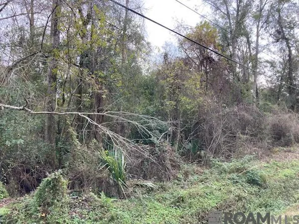 LOT 33 Lucien St, Denham Springs, LA 70726