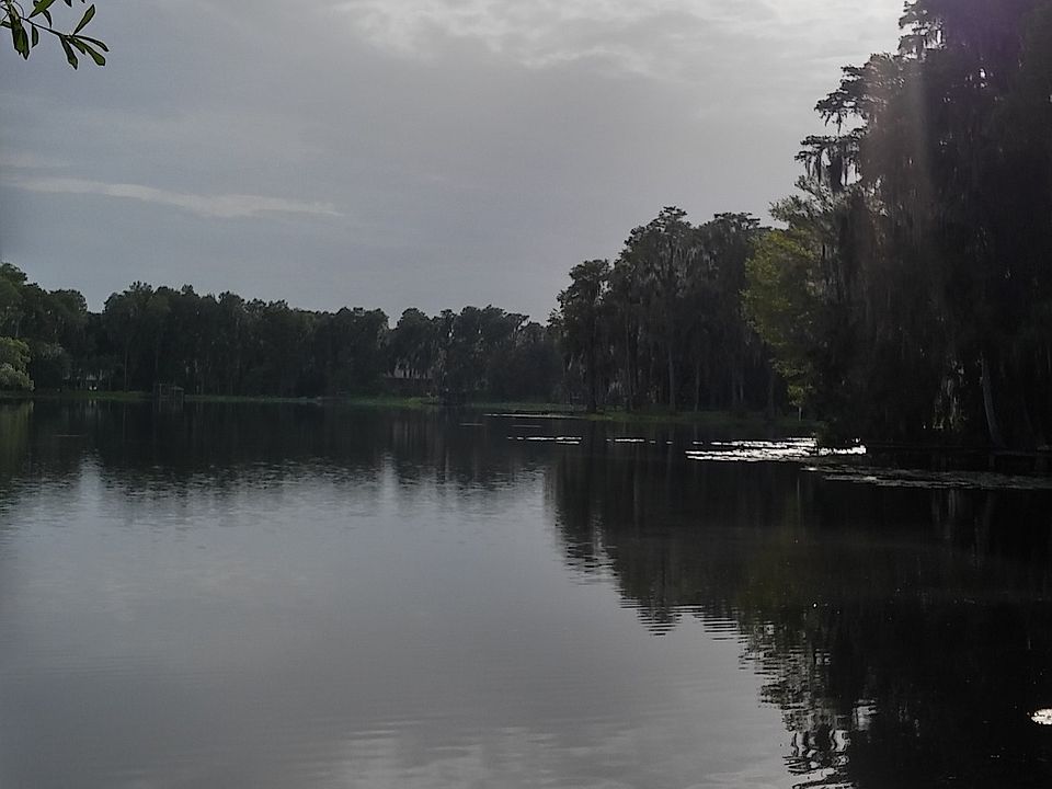 3510 Crenshaw Lake Rd, Lutz, FL 33548 Zillow