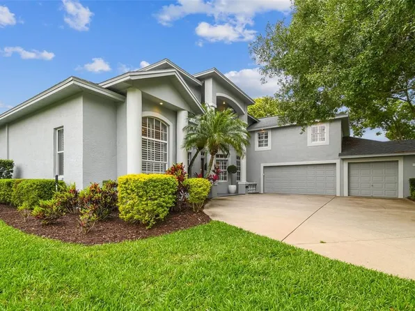 4050 Executive Dr, Palm Harbor, FL 34685