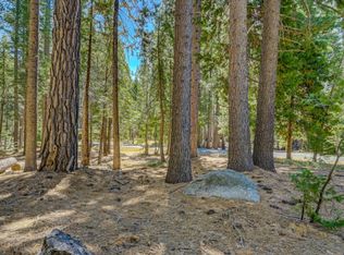 3819 Natchez Dr, Camp Connell, CA