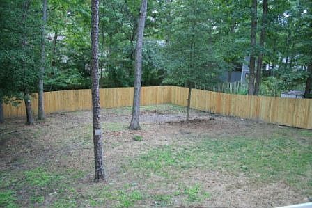 Park-like Back Yard