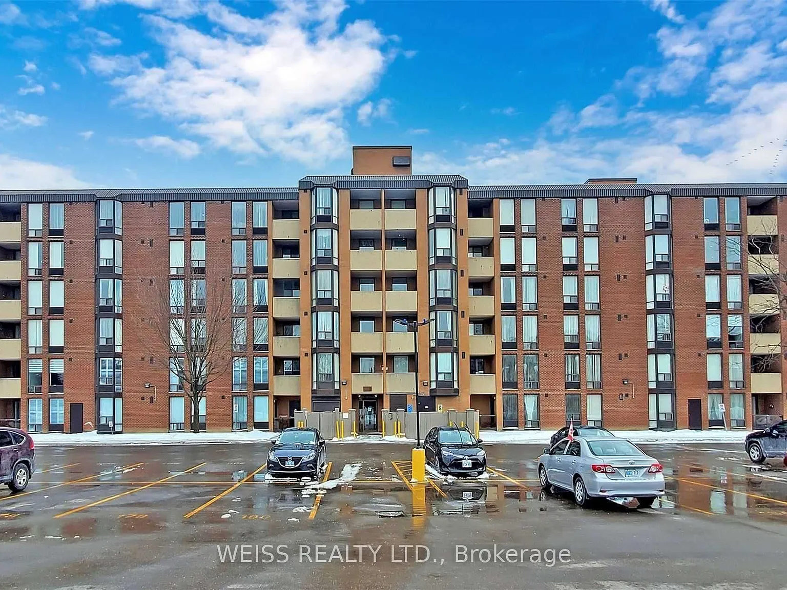 3 bed, $2,950 — Photo 2