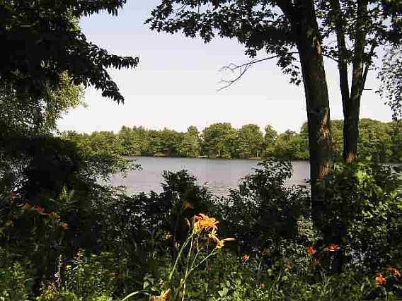 5th image of 1861 Riverview Dr