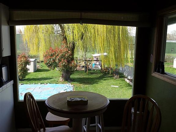 Kitchen window view