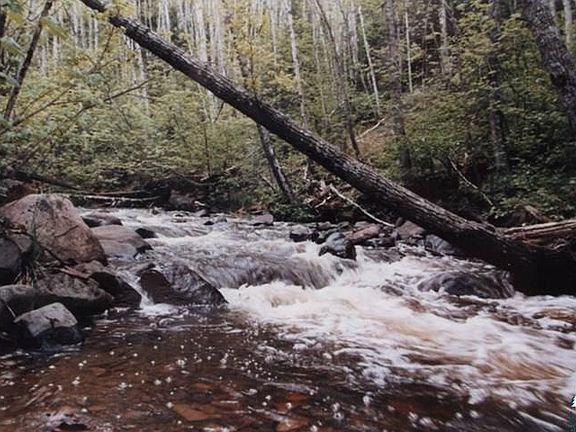 3rd image of 968-B Gunflint Tr