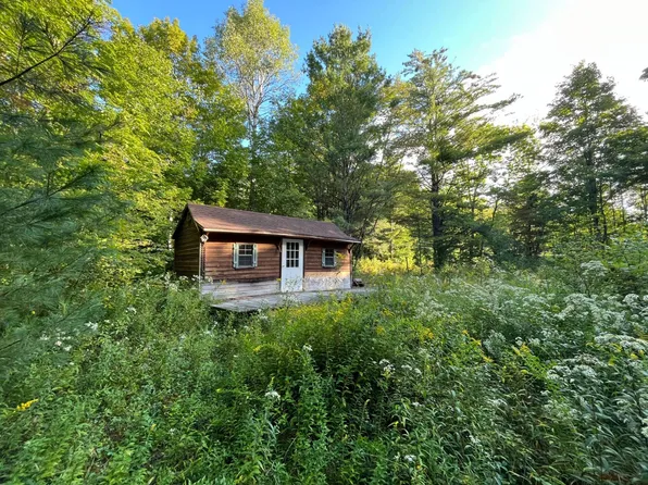 12503 Beartown Rd, Natural Bridge, NY 13665