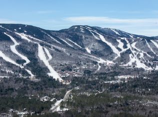 Lot 26 Mount Will Drive, Newry, ME 04217