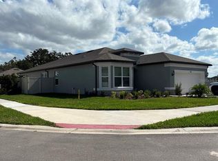 737 Grazing View Pl, Valrico, FL 33594