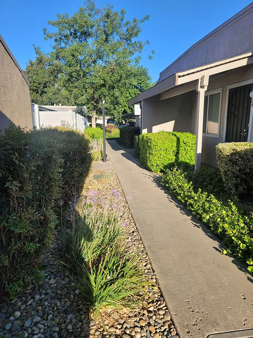 SHE330 — Photo 2