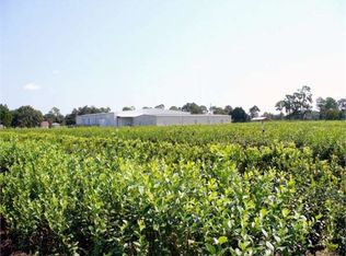 1301 Blueberry Rd, Sebring, FL 33872