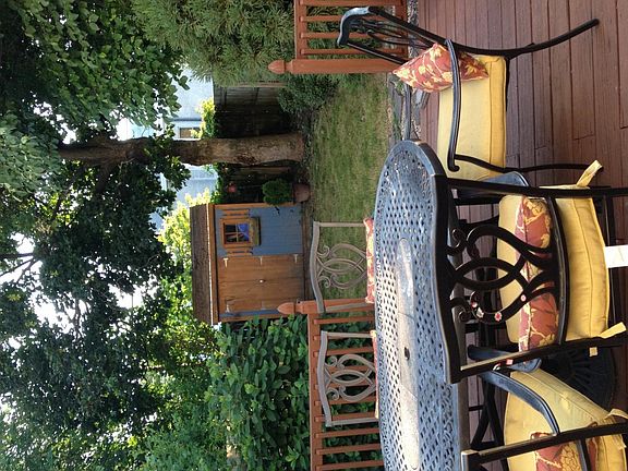 Back yard
