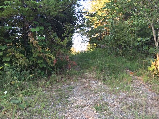 1st image of 191 Carl Ln