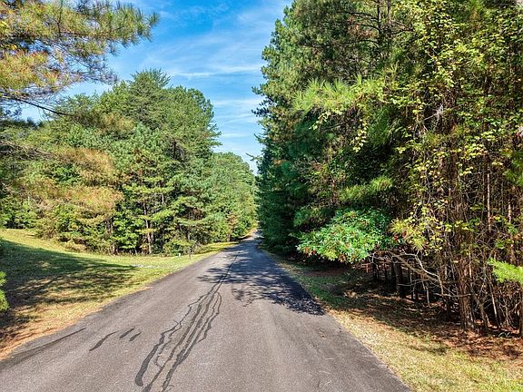3rd image of 89 Creek Hollow Ln