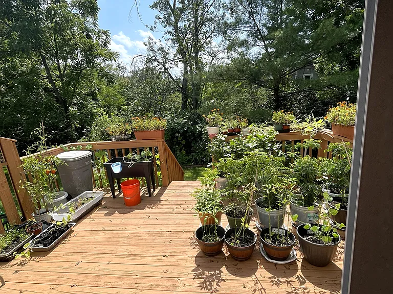 141 Hemlock Dr — Photo 11