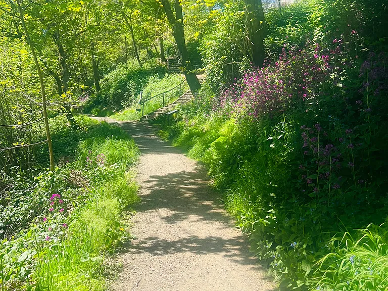 Indian Creek Trail