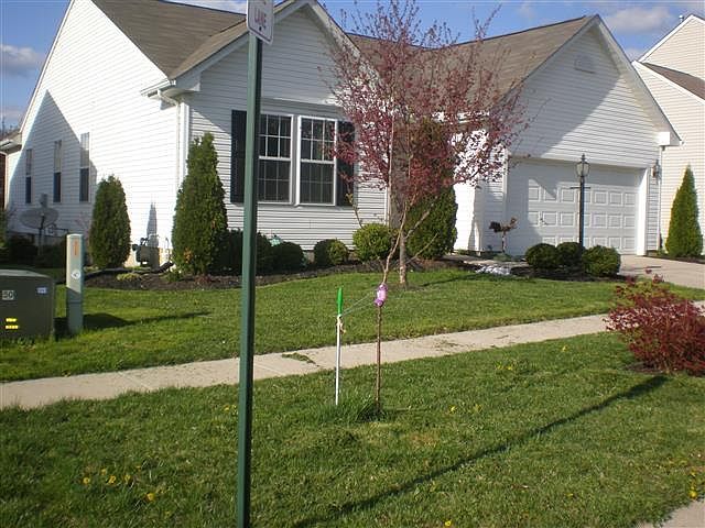 1st image of 310 Delaware Dr