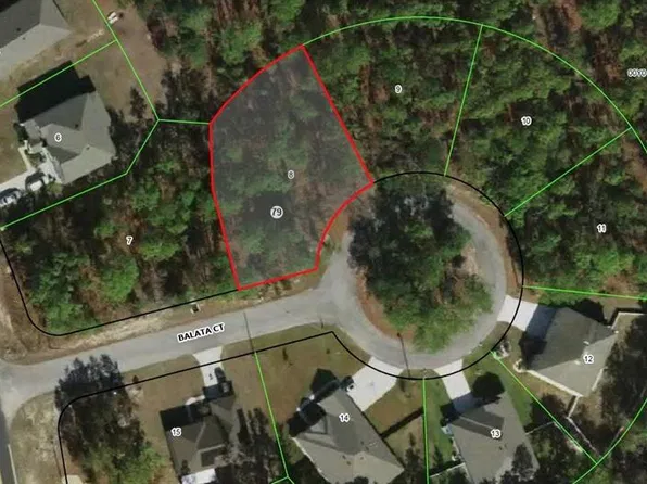 4 BALATA COURT LOT 8, HOMOSASSA, FL 34446