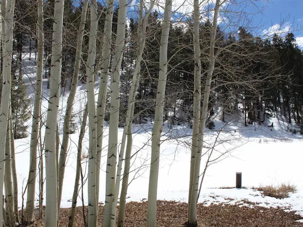 11675 Castle Rock Road, Del Norte, CO 81132