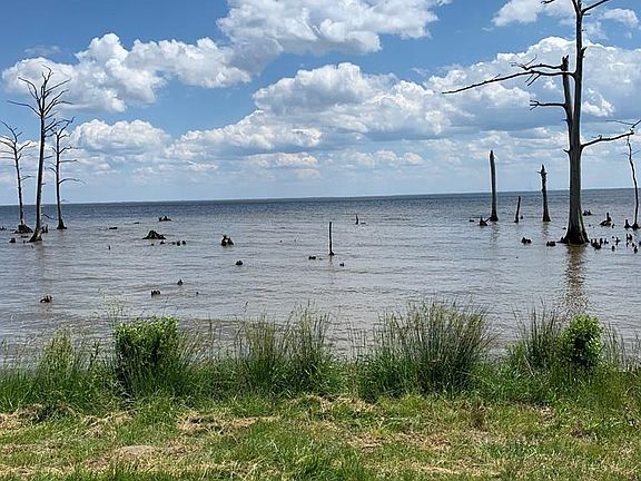 5th image of 208 Osprey Dr