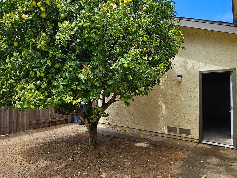 1406 Oak Knoll Rd — Photo 45