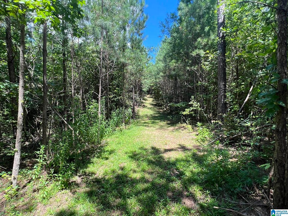1st image of 521 Highway 305 #1