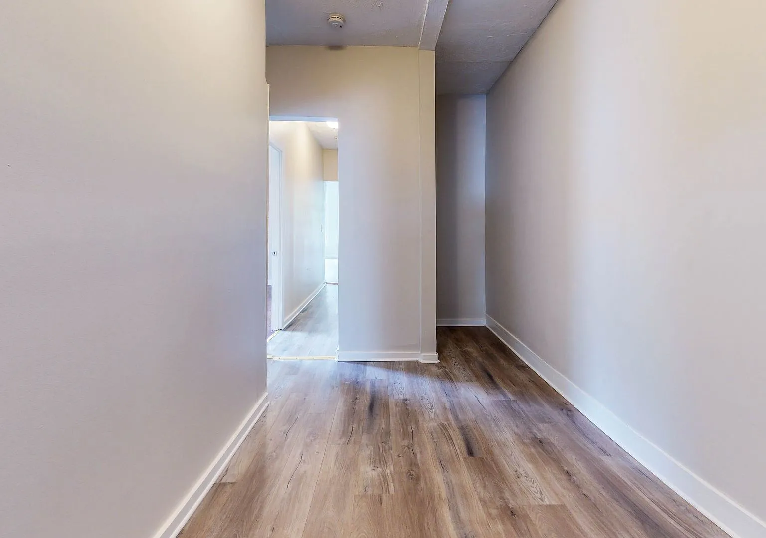 2-Bedroom Apartment Minutes from Science Hill — Photo 1
