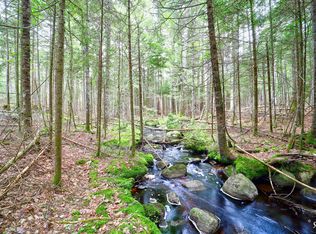 Lot 3 Bear Springs Lane, Surry, ME 04684