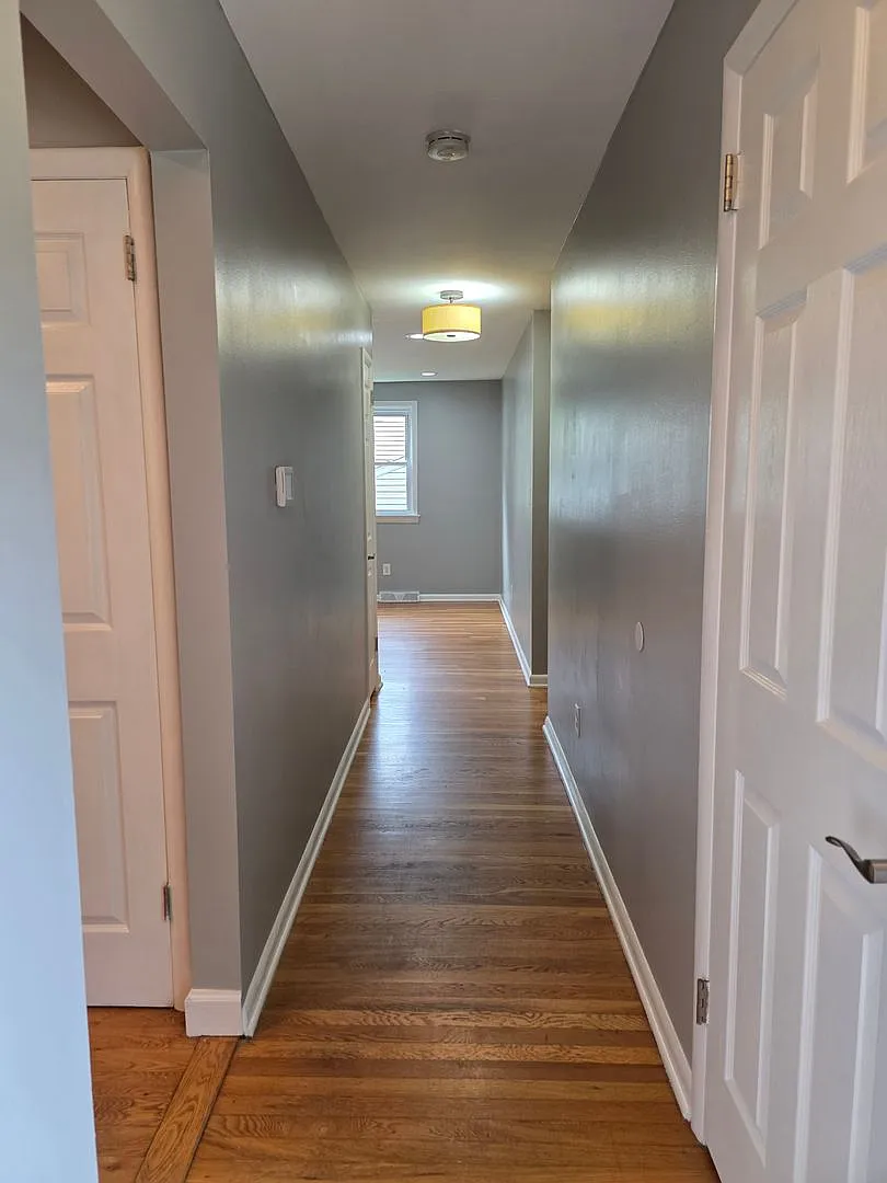 4 bed 2 bath available now in Newark DE! — Photo 3