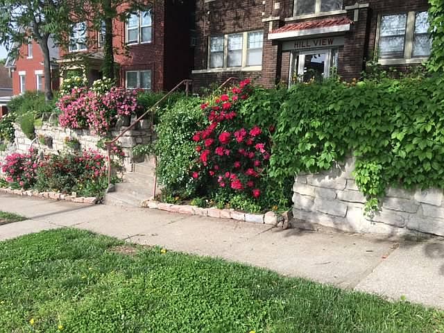 Garden beds at entry, in spring.