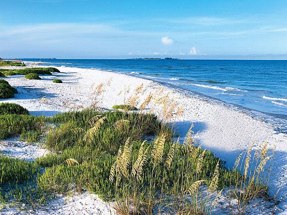 Ft. DeSoto beaches are just minutes away