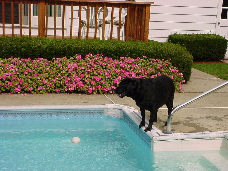 life guard on duty
