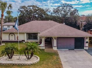 304 Leafy Way Ave, Spring Hill, FL 34606