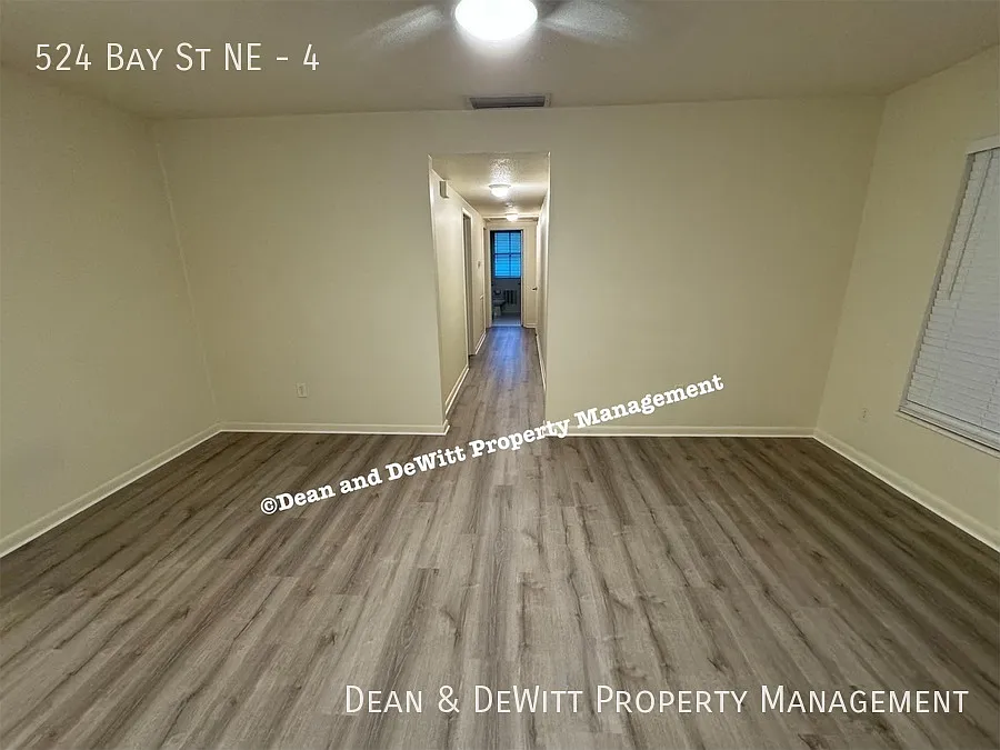 Building Photo - 524 Bay St NE #4