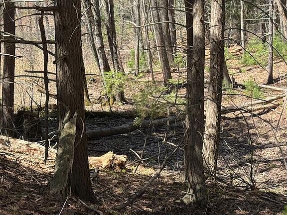 2nd image of Lot 14 Bartlett Road
