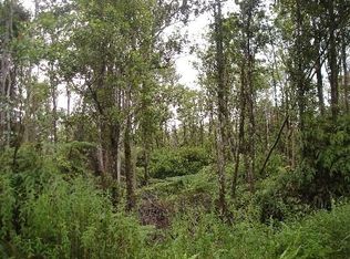 LOT 39 Lot 39, Volcano, HI 96785