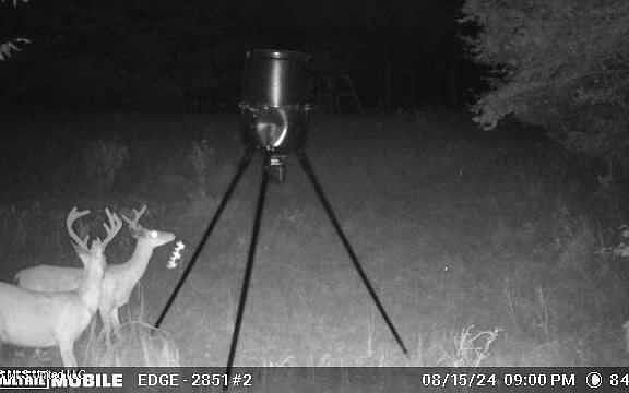 4th image of Jones Ln