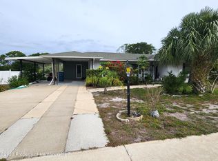 6667 Treehaven Dr, Spring Hill, FL 34606