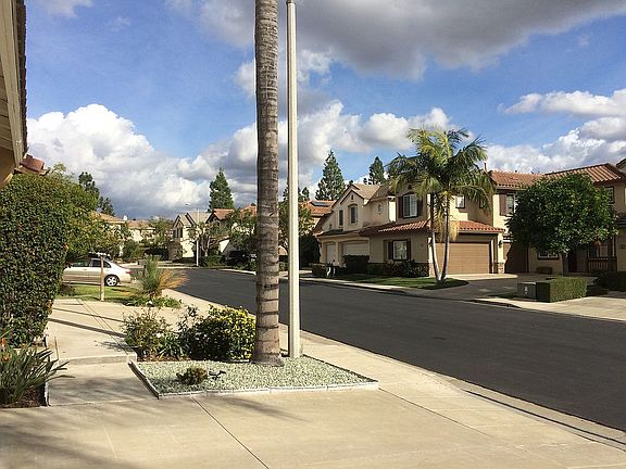 East Sightline - Front Yard