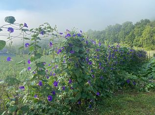 765 Old Wilderness Rd, Saltville, VA 24370