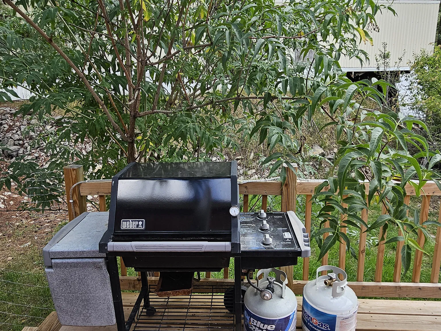 1 bed, 600 sqft, $1,500 — Photo 4