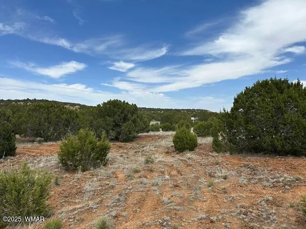 50 County Road 3048, Concho, AZ 85924