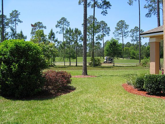 Backyard view