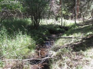 249 Gold Dust Creek Rd, Florissant, CO 80816