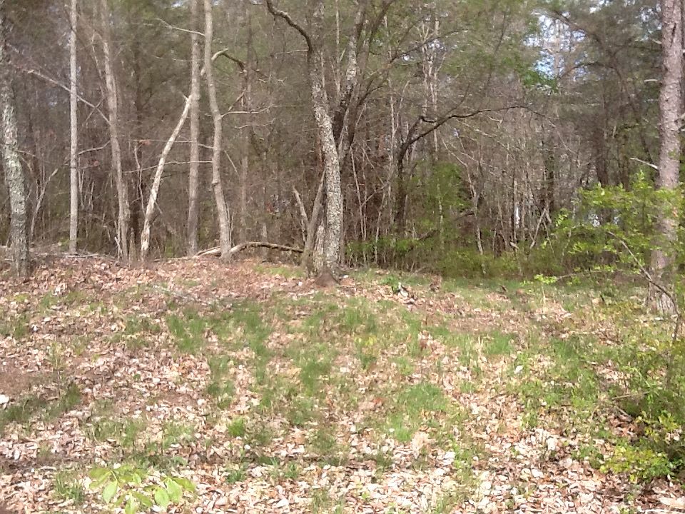 1st image of 71 McCallie Ln