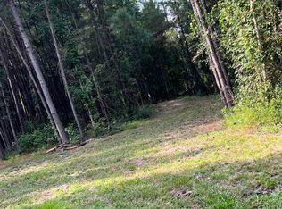 TBD Oglethorpe Dr., Andrews, SC 29510